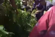 Sejumlah Warga Muna Tertimpa Ranting Pohon Akibat Angin Helikopter Presiden