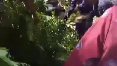 Sejumlah Warga Muna Tertimpa Ranting Pohon Akibat Angin Helikopter Presiden