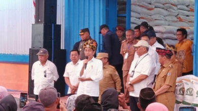 Presiden Jokowi Salurkan Beras kepada 500 KPM di Muna