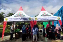 Penuhi Kebutuhan Masyarakat, Dinas Perkebunan Sediakan Tomat Hingga Cabai Murah