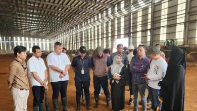 PN Unaaha Gelar Pencocokan Eksekusi Lahan, PT OSS Diminta Kosongkan Objek Sengketa