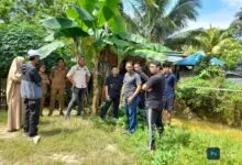 Jadi Langganan Banjir, DPRD Kendari Tinjau Kondisi di Jalan Segar