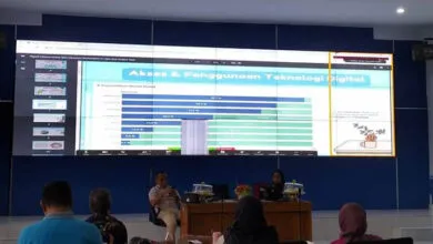 Pengguna Internet di Sultra Tercatat Sebesar 64 Persen