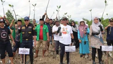 Tanam 1.000 Bibit Mangrove, Kemenag Sultra Sebut sebagai Bentuk Kepedulian Lingkungan