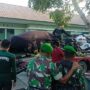 Jelang Kedatangan Jokowi di Muna, Kendaraan Pengamanan Presiden Tiba di Raha