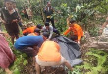 Lansia yang Hilang di Hutan Kolaka Timur Ditemukan Meninggal