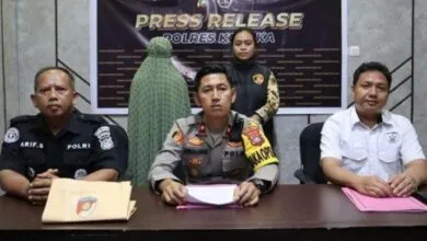 Pelaku Penipuan dengan Modus Lowongan Kerja di Kolaka Ditangkap