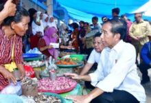 Presiden Jokowi Pastikan Harga Beras hingga Bawang Merah di Sultra Stabil Jelang Iduladha