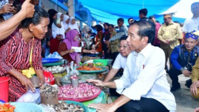 Presiden Jokowi Pastikan Harga Beras hingga Bawang Merah di Sultra Stabil Jelang Iduladha
