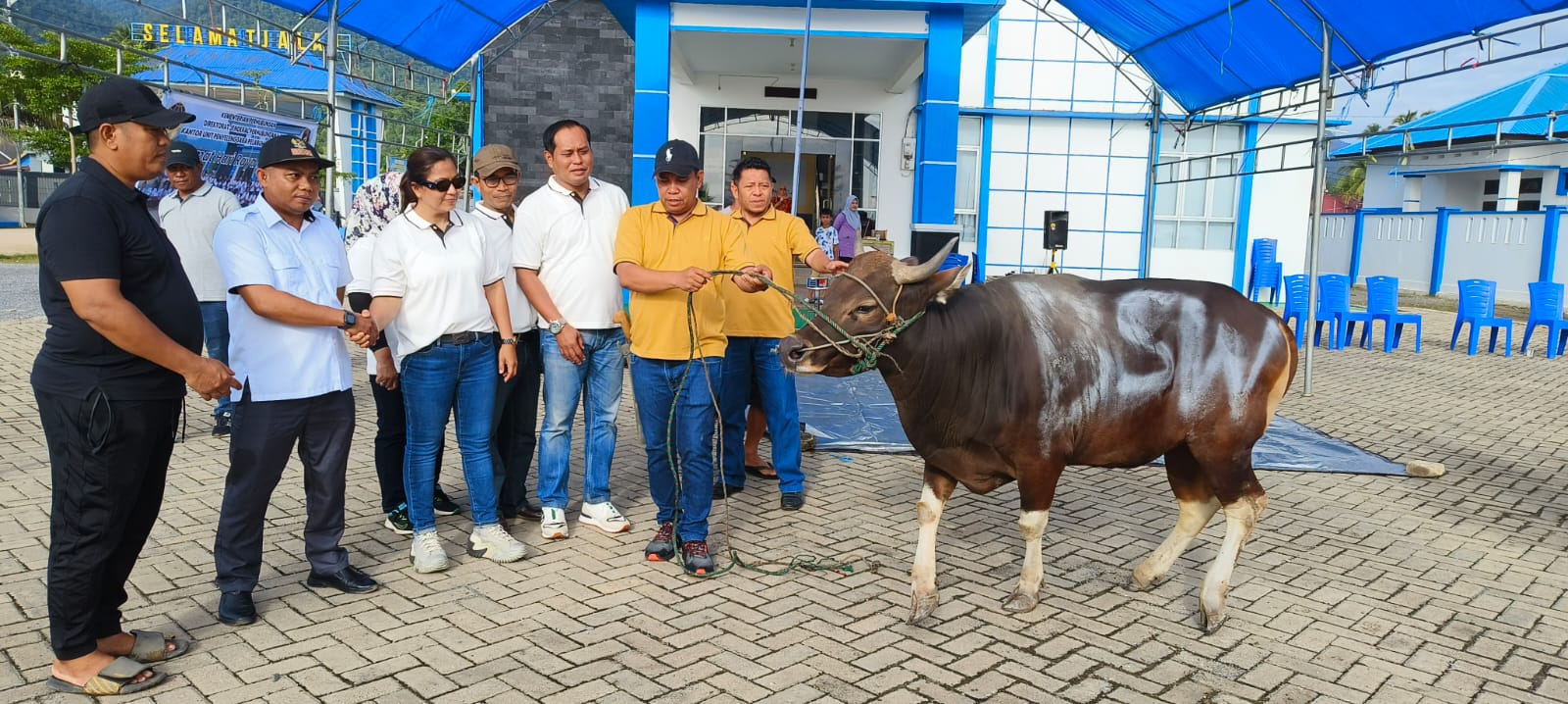 KUPP Molawe Serahkan Sapi Kurban di Empat Desa di Konawe Utara