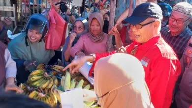 Blusukan ke Pasar Wawatobi, Lukman Abunawas Disambut Teriakan Pedagang 'Gubernur Sultra'