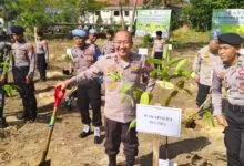 Peringati HUT Bhayangkara ke-78, Polda Sultra Bersama Pemda Konsel Lakukan Penanaman Pohon