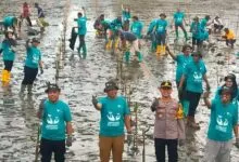 Ikut Penanaman 1.000 Bibit Pohon Mangrove, Kapolsek Pomalaa: Bentuk Sinergi Jaga Lingkungan