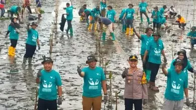 Ikut Penanaman 1.000 Bibit Pohon Mangrove, Kapolsek Pomalaa: Bentuk Sinergi Jaga Lingkungan