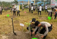 Jaga Kelestarian Lingkungan, Polda Sultra Gelar Aksi Tanam Pohon