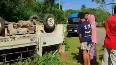Kurang Fokus saat Berkendara, Mobil Bak Terbuka Terbalik di Lagadi Mubar