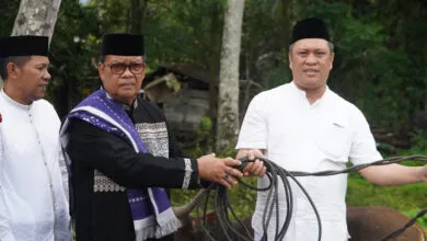 Pemda Konut Salurkan 126 Ekor Hewan Kurban ke Desa