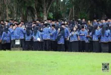 Pelaksanaan Tes CPNS/PPPK 2024 di Sultra Dilaksanakan Paling Lambat Agustus