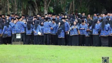 Pelaksanaan Tes CPNS/PPPK 2024 di Sultra Dilaksanakan Paling Lambat Agustus