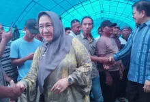 Serius Maju di Pilgub Sultra, Tina Nur Alam Sudah Kantongi Dua Rekomendasi
