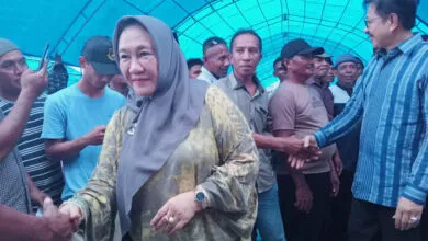 Serius Maju di Pilgub Sultra, Tina Nur Alam Sudah Kantongi Dua Rekomendasi