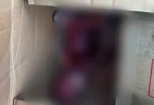 Dikira Boneka, Dua Siswa SD Temukan Janin Bayi di Kali Kadia