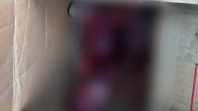 Dikira Boneka, Dua Siswa SD Temukan Janin Bayi di Kali Kadia