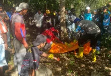 Kerangka Manusia Ditemukan di Hutan Watorumbe Bata Buton Tengah