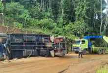 Truk Bermuatan 12 Ton Cengkeh di Kolaka Alami Kecelakaan Tunggal