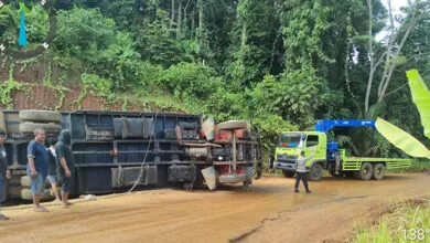 Truk Bermuatan 12 Ton Cengkeh di Kolaka Alami Kecelakaan Tunggal