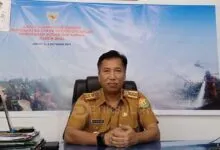 Kepala Dishut Sultra, Sahid. Foto: Muh Ridwan Kadir/Detiksultra.com