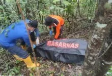Warga yang Hilang di Hutan Konawe Selatan Ditemukan Meninggal Dunia