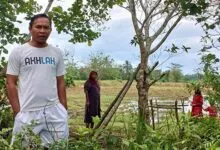 Intensitas Hujan Tinggi, Petani Nilam di Muna Barat Gagal Panen