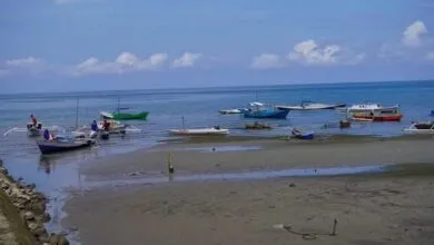 Dinas Perikanan Sebut Nelayan Kecil Masih Mendominasi di Kolaka