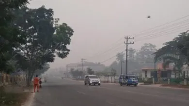 Fenomena Suhu Dingin Selimuti Sejumlah Wilayah di Sultra, Ini Penjelasan BMKG