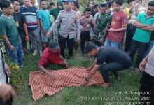 Seorang Warga di Muna Ditikam hingga Tewas, Pelaku dalam Pengaruh Alkohol