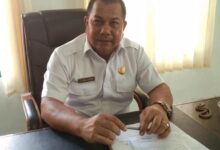 Ini Rangkaian Kegiatan Menyambut HUT ke-79 RI di Kabupaten Kolaka