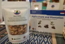 Mete Muna Jadi Sorotan Pameran Produk Indikasi Geografis di WIPO