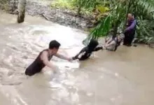 Petugas Pantarlih Pilkada di Muna Terobos Derasnya Arus Kali Langkaroni untuk Lakukan Pendataan
