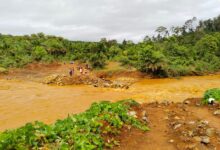 Seorang Warga Langgikima Konawe Utara Tenggelam di Sungai Alenggo, Kini dalam Pencarian