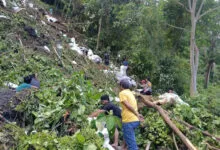 Truk Bermuatan Cengkeh Terguling di Kolaka, Pengemudi Luka Berat