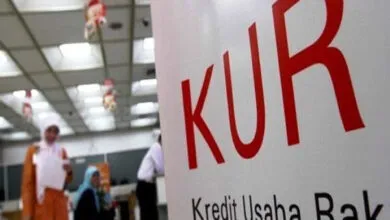 Penyaluran Dana KUR di Sultra Capai Rp2,3 Triliun Per Juli 2024