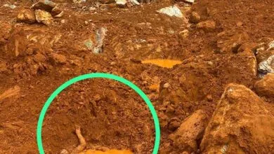 Seorang Pekerja Tambang Tewas Tertimbun Longsor di WIUP PT Konutara Sejati