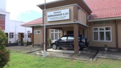 Dinilai Tak Patuh, Disnkertrans Sultra Bakal Panggil PT PMS, PT AMM dan Perusda Kolaka