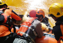 Pencarian Hari ke Empat, Warga yang Tenggelam di Sungai Alenggo Ditemukan Meninggal Dunia