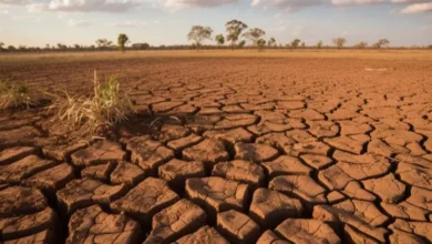 Hadapi El Nino, Pemda Mubar Serahkan Bantuan 45 Mesin Pompa Air kepada Kelompok Tani