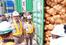 Sultra Ekspor Perdana 646 Ton Kelapa Bulat ke Tiongkok