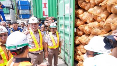 Sultra Ekspor Perdana 646 Ton Kelapa Bulat ke Tiongkok