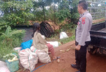 Hilang Kendali, Mobil Bak Terbuka Bermuatan Jagung Terbalik di Kolaka