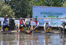 Lestarikan Ekosistem Pesisir, Pertamina Patra Niaga Sulawesi Gelar Penanaman Mangrove